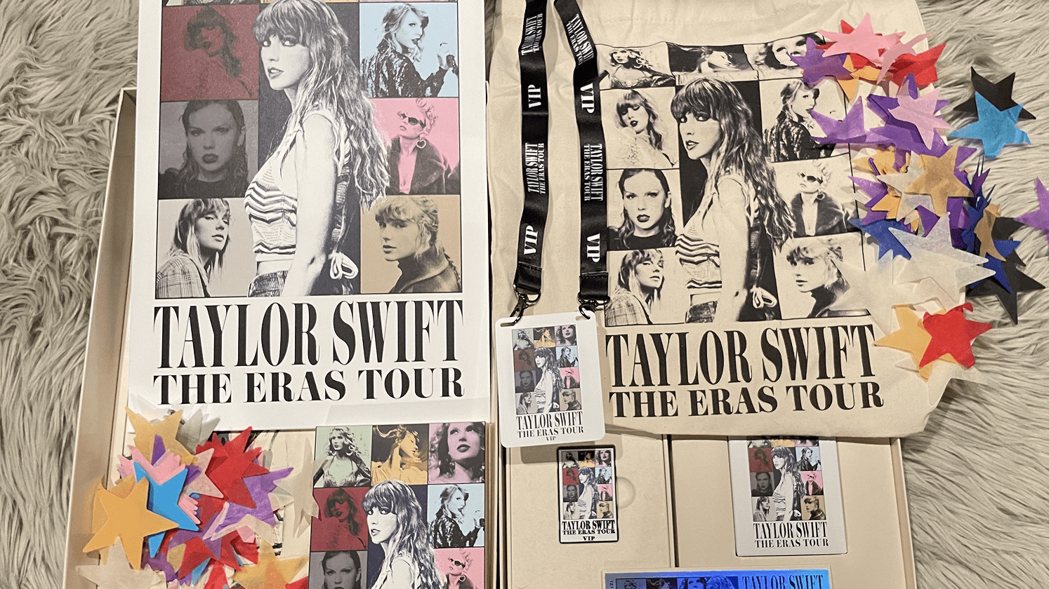 Taylor Swift Concert